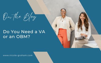 Do You Need a VA or an OBM?